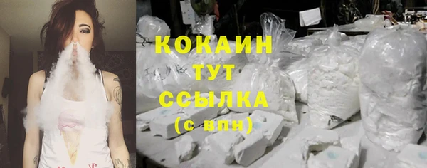 кокс Арсеньев
