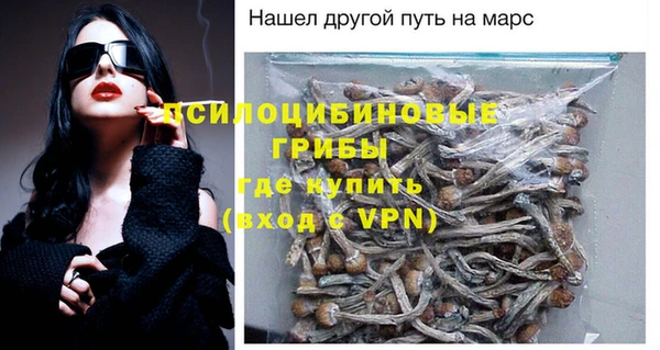 кокс Арсеньев