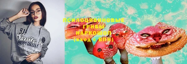 кокс Арсеньев