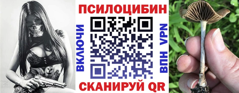 Галлюциногенные грибы MAGIC MUSHROOMS  дарнет шоп  Великий Устюг 