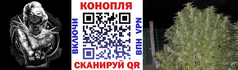 Канабис тримм  цены наркотик  Великий Устюг 